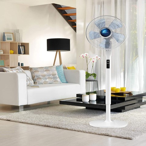 quạt cây loại nào tốt nhất nên mua