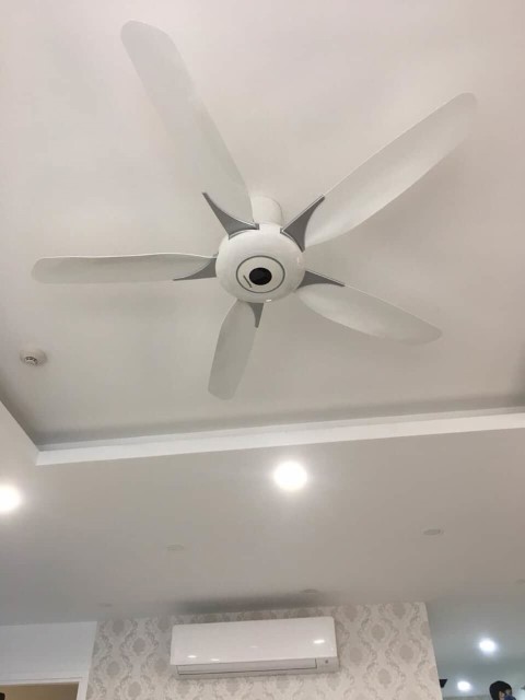 Tư vấn mua quạt trần loại nào tốt, bền, đẹp, chạy êm, gió mạnh