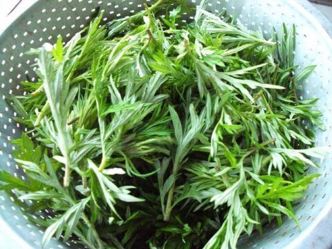 Cách ngâm chân chữa đau thần kinh tọa
