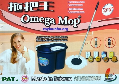 cay lau nha thong minh loai nao tot