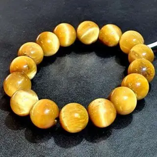 An Thịnh Trường Phát ATTP-V01