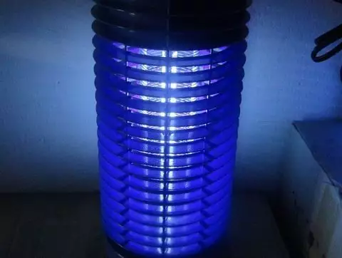 den bat muoi dai sinh