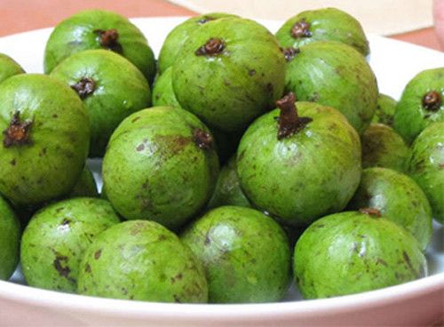 Cách bảo quản và chế biến quả sấu thật ngon