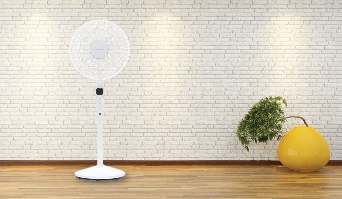 Quạt cây đứng nào tốt, mẫu mã đẹp, bền và chạy êm