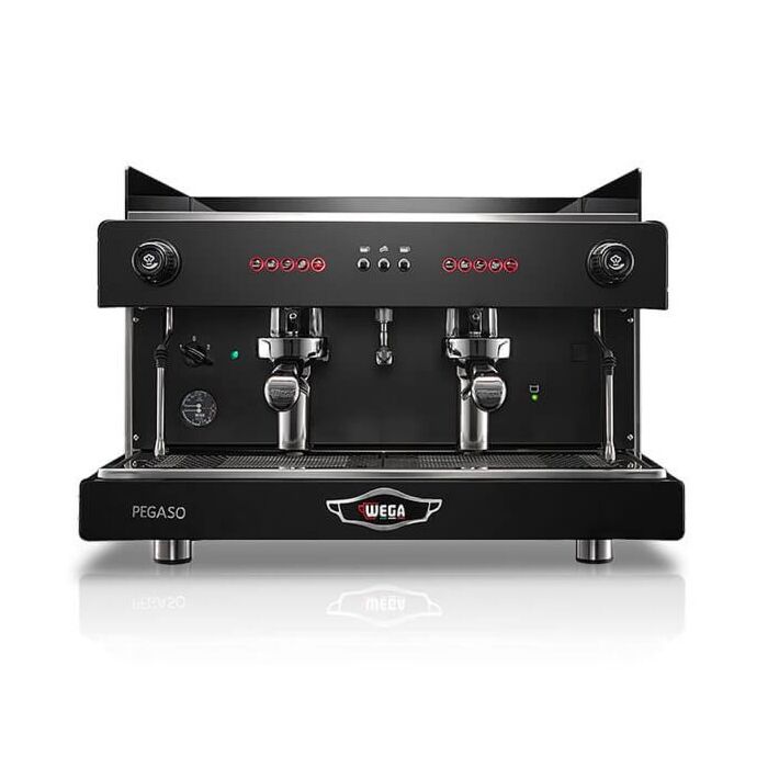 Wega Pegaso 2 Group
