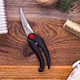 Kéo cắt gà Zwilling 42914-001 nhập khẩu Đức