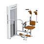 Máy tập bụng Vifa Sport VIF631301