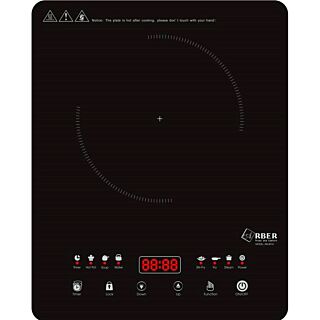bếp từ arber ab-301a