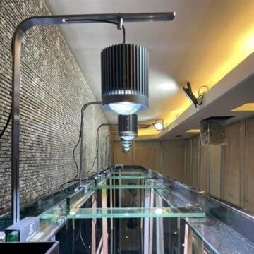 Mayin Super Color 100w chinh hang