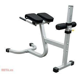Ghế tập tạ tập lưng Impulse IF-RC