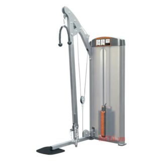 Máy tập bắp tay trước, sau Impulse IF8123