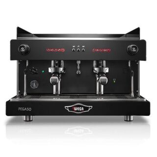 Wega Pegaso 2 Group