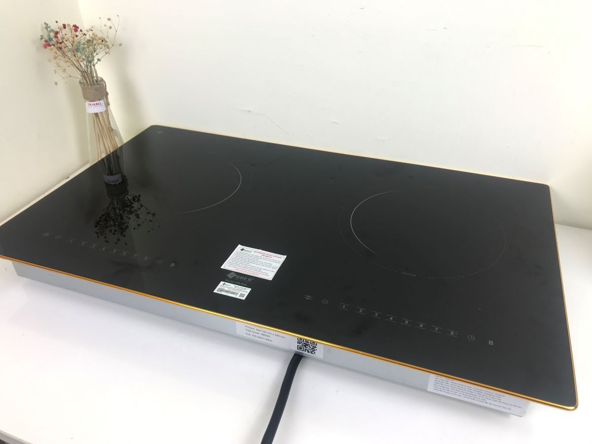 bep từ đôi arber ab-669