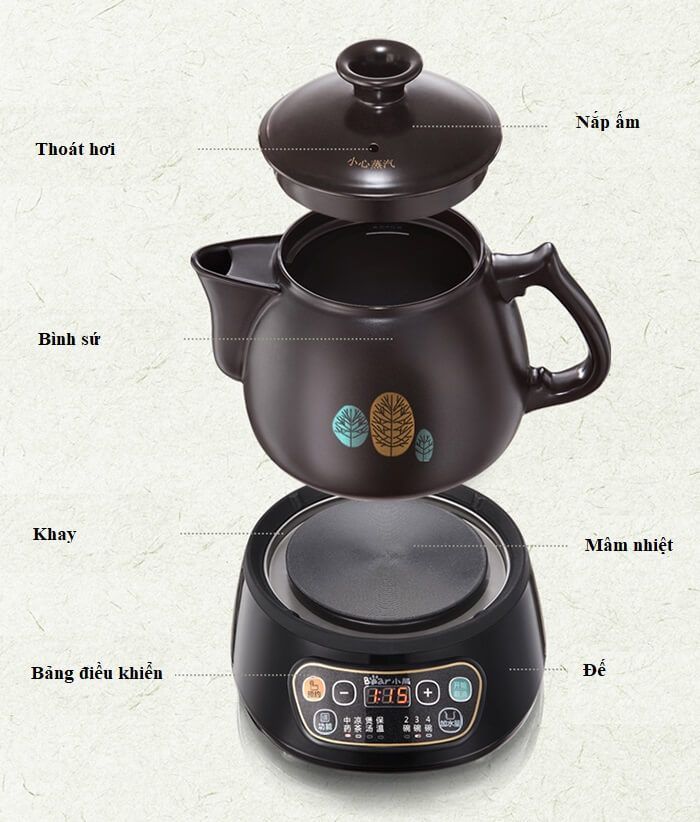 sieu sac thuoc Bear JYH-C40D2 moi