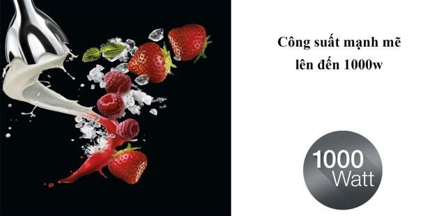 cong suat lon 1000w