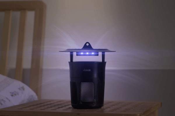 den bat muoi tot nhat cua han quoc