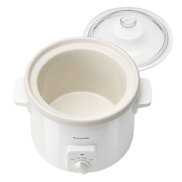noi nau cham Panasonic NF-N31AWRA long noi bang su
